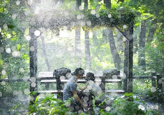 道明寺校园暴力？赤名莉香是绿茶婊？重温神剧，原来这么毁三观？