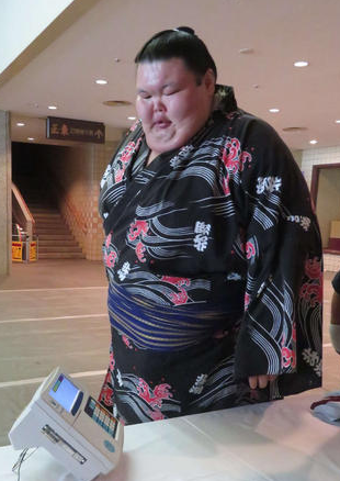 俄罗斯选手大露罗成为历代体重最高的相扑选手