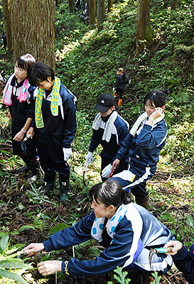 日本高冈市国吉中学进行树林惯例保养管理工作