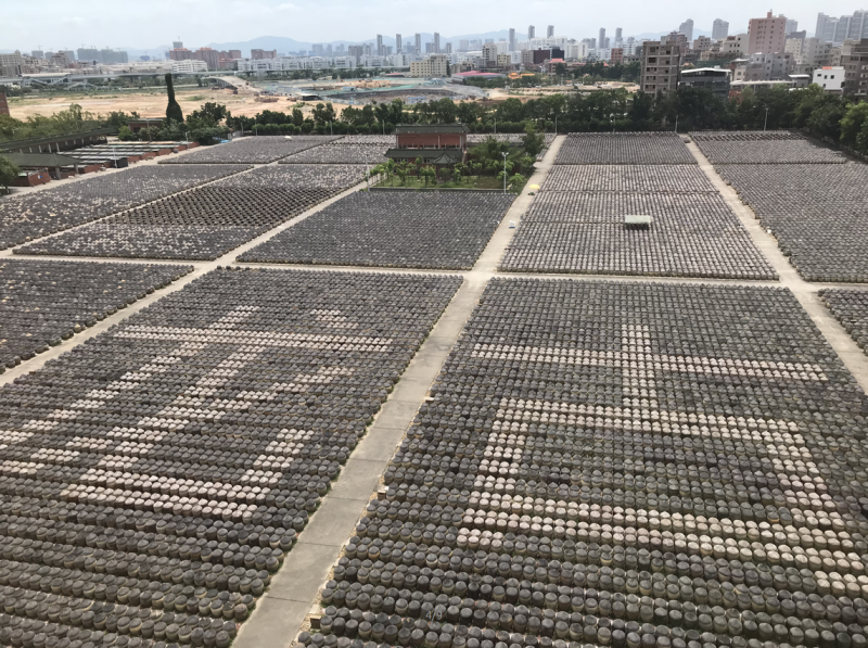 厦门：难忘那历久弥新的古龙酱文化园