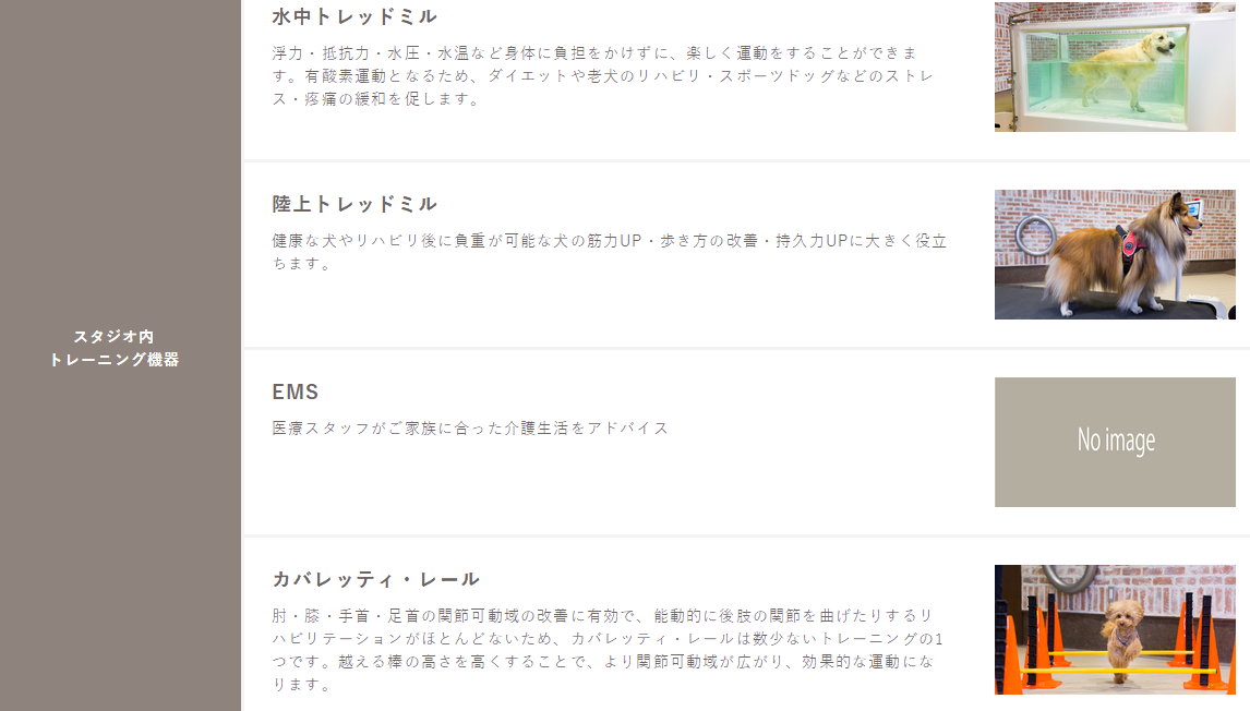 日本最大的狗狗养老院与健身中心，你知道吗？