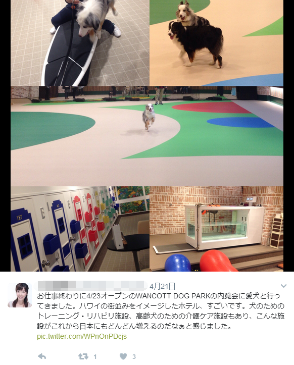日本最大的狗狗养老院与健身中心，你知道吗？