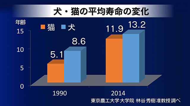 日本最大的狗狗养老院与健身中心，你知道吗？
