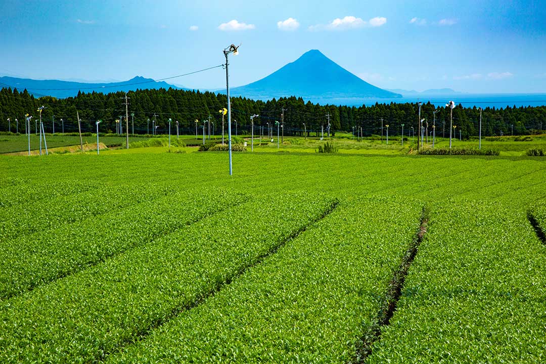 照片发Instagram一定会好看！日本九州旅游胜地10选