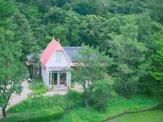 龙猫飘洋过海来魔都啦！吉力卜中国首展怎么能错过！？