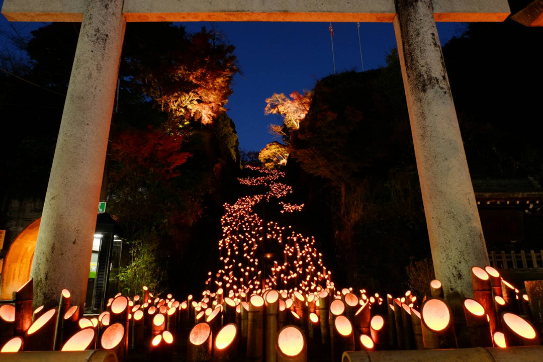 秋天的大分很浪漫，一起来去光祭吧！