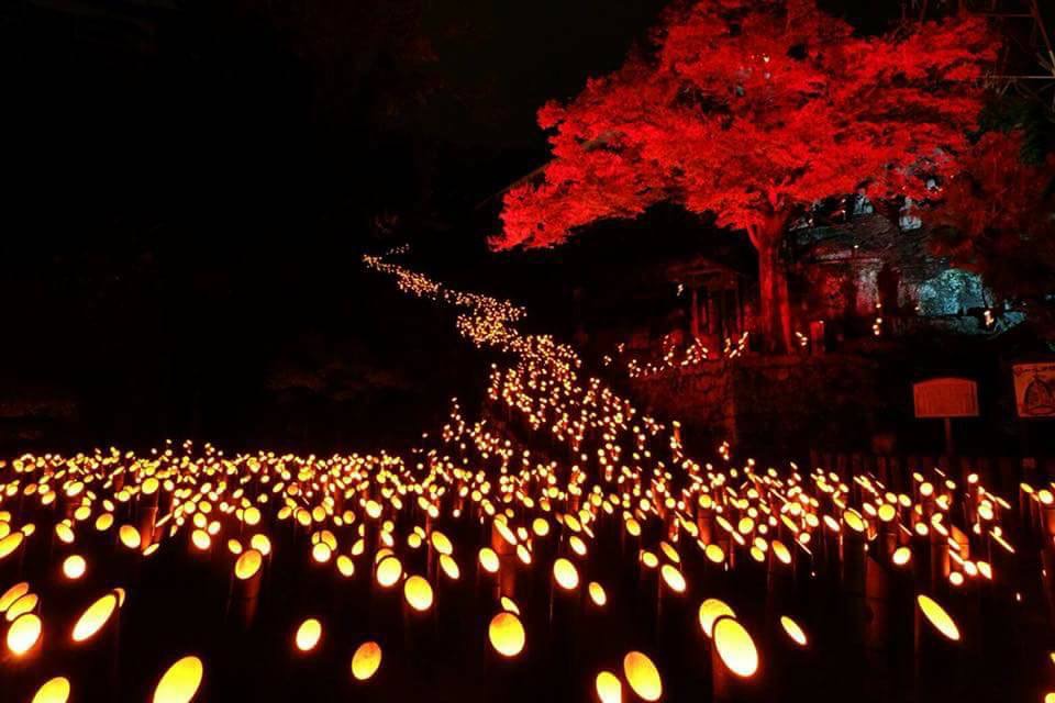 秋天的大分很浪漫，一起来去光祭吧！