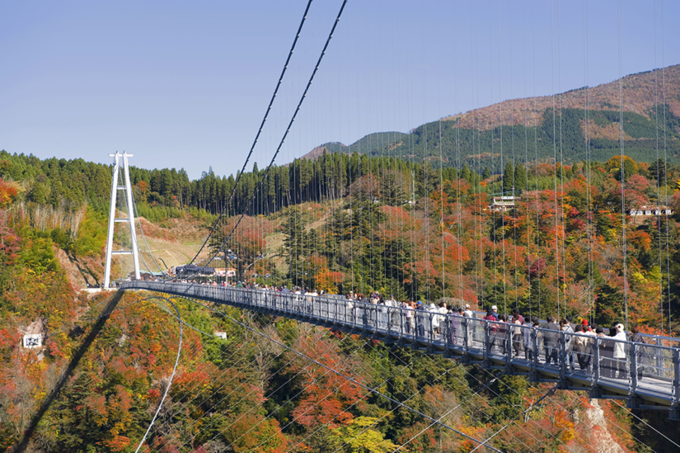 盘点日本九州七县旅行关键词