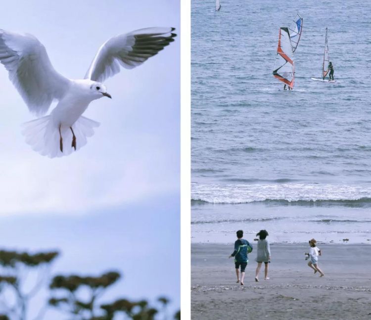 湘南｜去镰仓赶一场海上花火