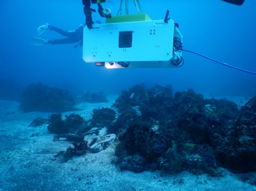 日本水下考古揭开沉睡海底的古船的神秘面纱 日本水下考古揭开沉睡海底的古船的神秘面纱