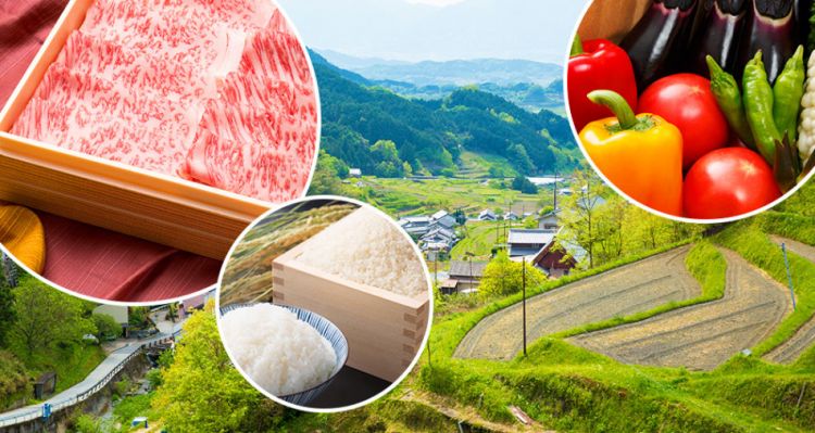 日本“家乡税”陷入左右为难窘境