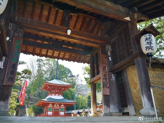 日本寺庙文化科普：“山”“院”“寺”到底哪个是名字