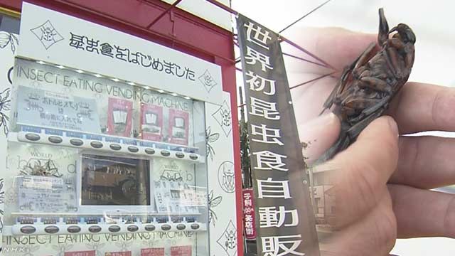 日本熊本街头惊现“世界首台食用昆虫售货机”