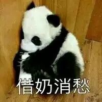 大熊猫香香与妈妈相处的最后一天，整个日本都为之落泪