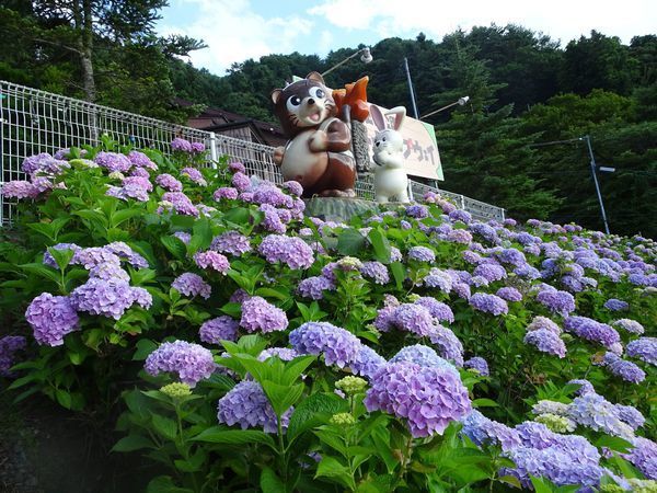 一生必去的富士河口湖，一日游行程和超详细交通指南