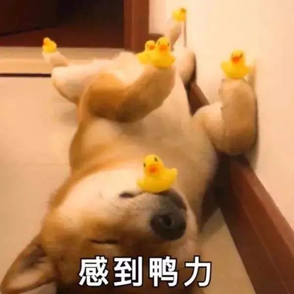 扶梯“左立右行”是日本人素质高的表现？