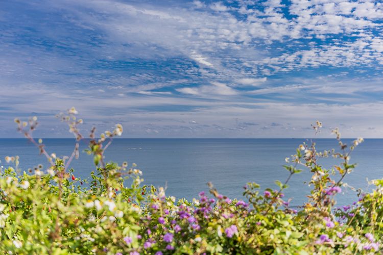 来去看闪闪发光的大海啊！日南海岸兜风景点【后篇】