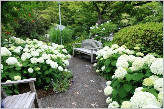 镰仓绣球花小众景点全攻略