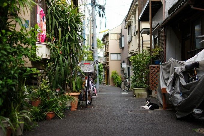 东京老街谷根千，带你一秒穿越回昭和时代逛吃逛吃