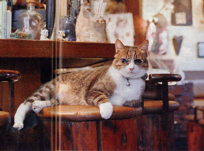 东京老街谷根千，带你一秒穿越回昭和时代逛吃逛吃