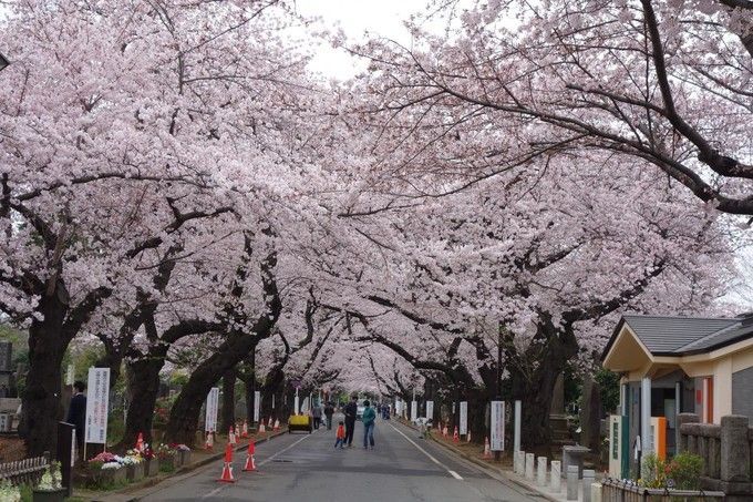 东京老街谷根千，带你一秒穿越回昭和时代逛吃逛吃