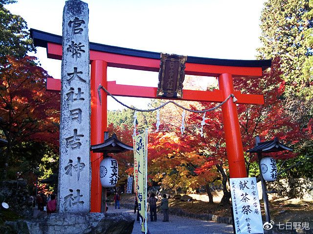 日本神社文化丨伊势神宫和春日大社等级差这么多？