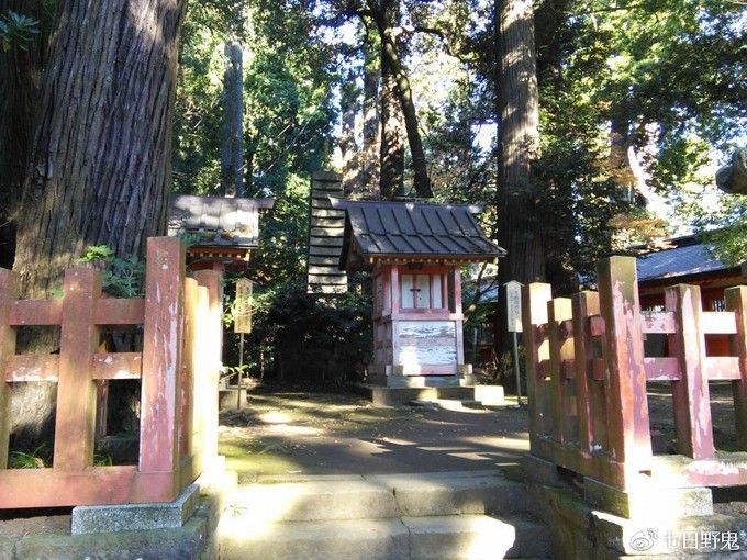 日本神社文化丨伊势神宫和春日大社等级差这么多？