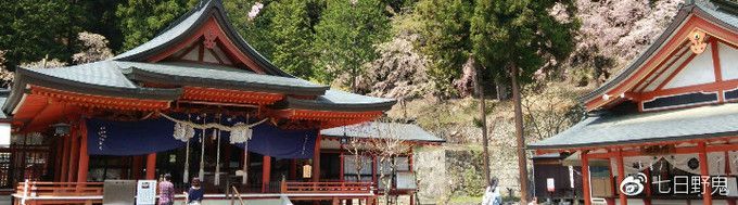 日本神社文化丨伊势神宫和春日大社等级差这么多？