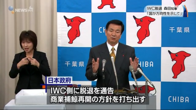 日本知事森田健作回应媒体日本政府退出IWC事件 日本知事森田健作回应媒体日本政府退出IWC事件