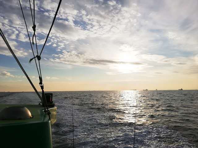 东京湾“驱鬼”！从二百米深的深海中获得超高级食材！
