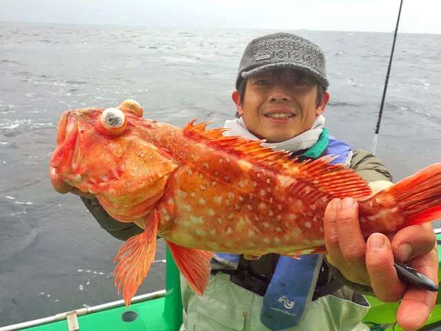 东京湾“驱鬼”！从二百米深的深海中获得超高级食材！