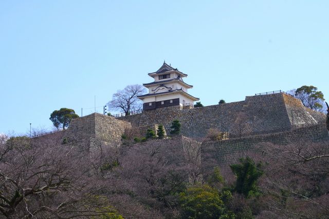 看这里2019年最值得去的日本城