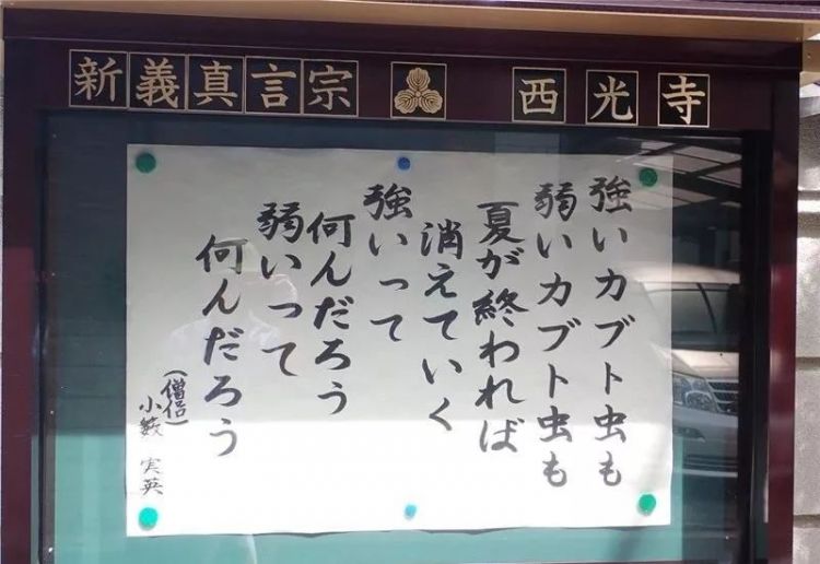 日本这些寺庙挂出标语骂人，网友却说太真实了？