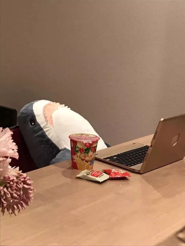 偶尔和同事出去轰趴我点餐了,怎么没人来呃怎么聊着聊着更想哭了呢和