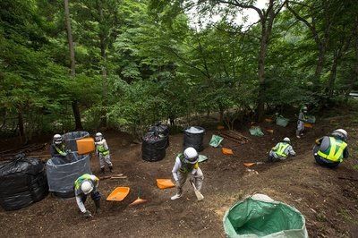 日本林业岗位开始大量接收外国劳动者 安定性令人担忧