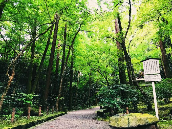 青灯古寺西风里，一色山光万顷秋