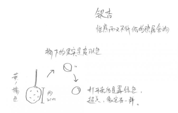 过完年你还回来吗？ 