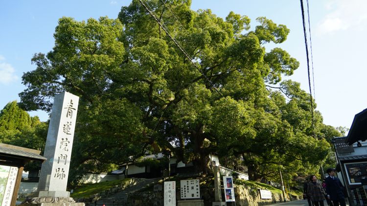 京都，那是川端康成邂逅东山魁夷的古都