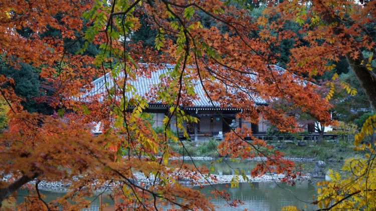 京都，那是川端康成邂逅东山魁夷的古都