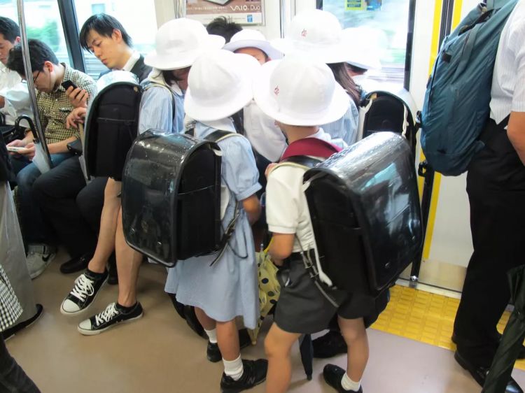 日本的公立学校与私立学校有哪些差距？