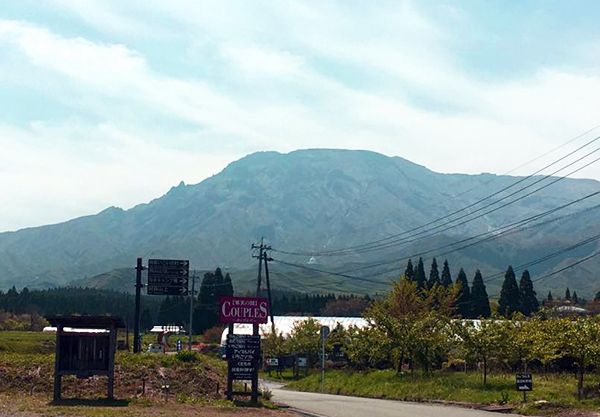 在熊本摘草莓！从Insta精选农场到温泉培育的草莓地！推荐4处摘草莓的好去处