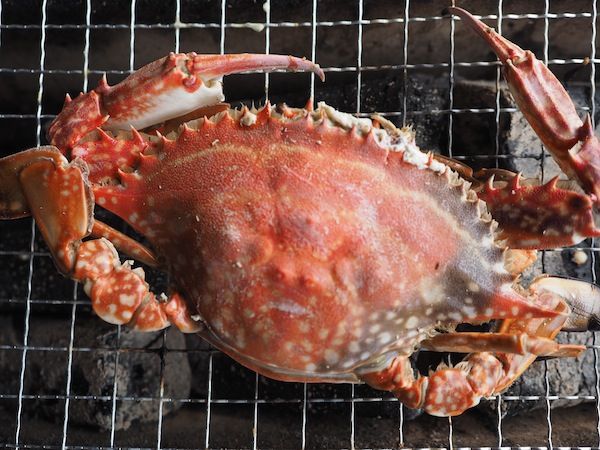 现在正是最佳的季节！来享受牡蛎和螃蟹带来的太良饱腹之旅