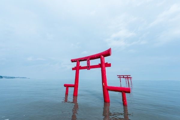 现在正是最佳的季节！来享受牡蛎和螃蟹带来的太良饱腹之旅