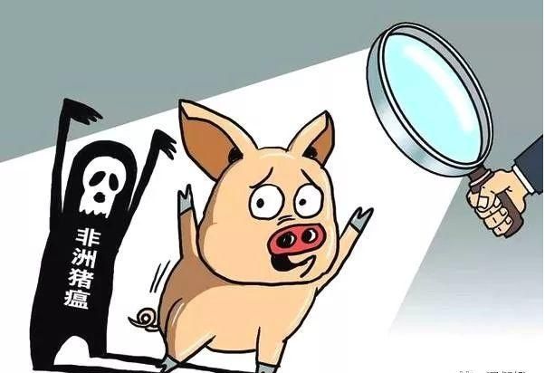 非洲猪瘟的“猪”字的日语读音究竟是什么？