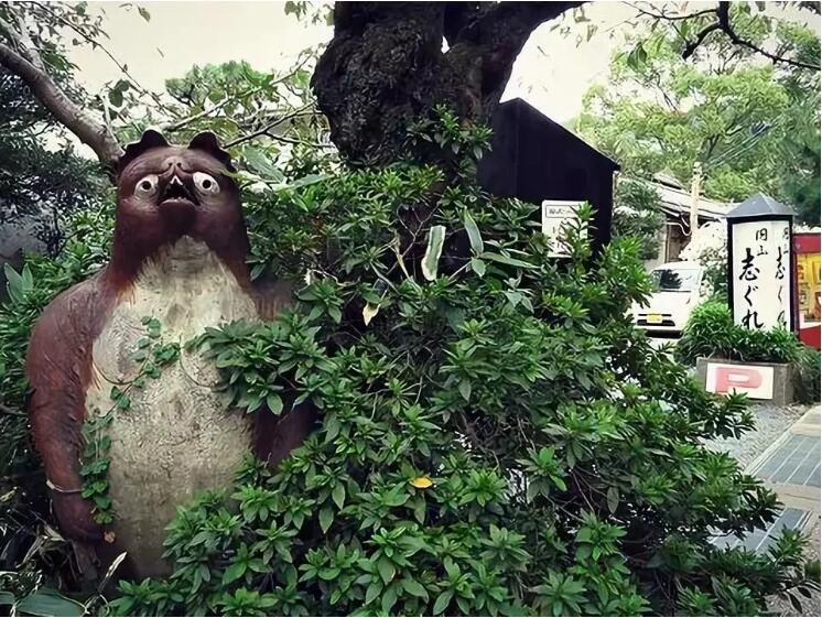 如果你第一次去京都，其实可以这么玩
