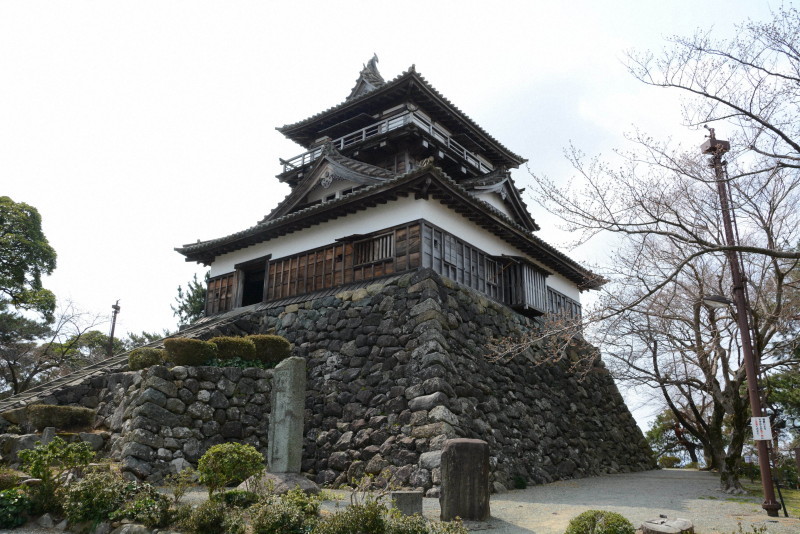 丸冈城天守阁建造年份明确 日本现存最古老天守阁传说不属实