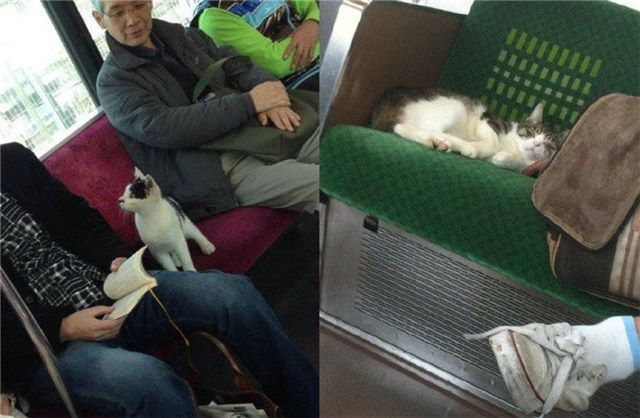 在日本的这个地方,有着说不尽的潜规则... 在日本的这个地方,有着说不尽的潜规则...