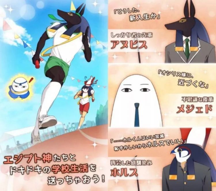 讲真真的会有人想跟鸽子谈恋爱吗