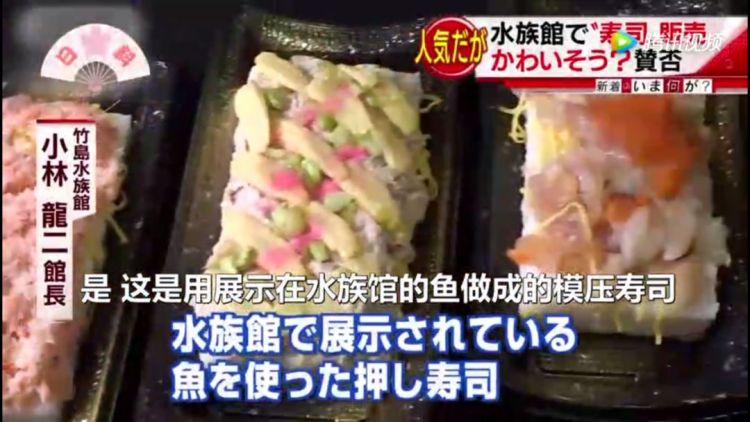 把观赏鱼做成寿司和活鱼一起展览…日本水族馆奇葩举动引网友热议