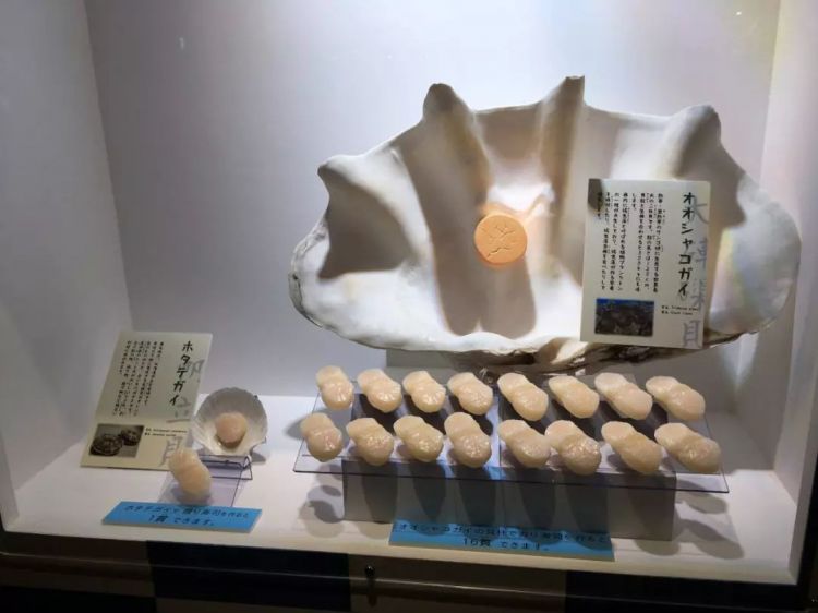 把观赏鱼做成寿司和活鱼一起展览…日本水族馆奇葩举动引网友热议